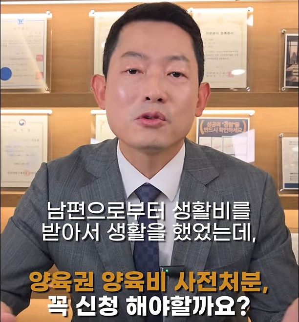 생활비가 끊긴 전업주부의 양육비 사전처분 신청 - 진동환 변호사