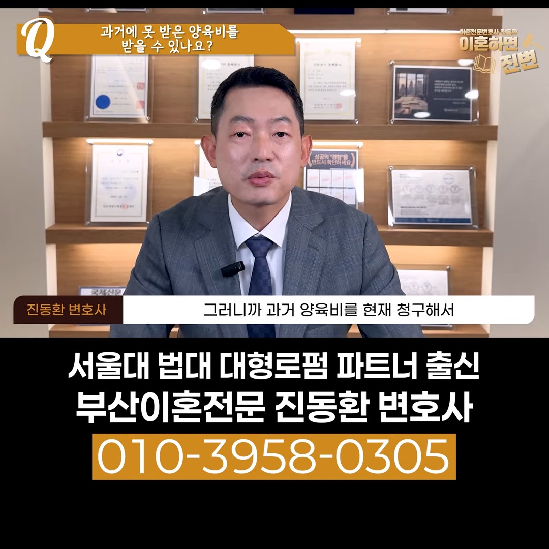 양육비를 정한 적이 없으면 과거 양육비를 현재 청구할 수 있다는 설명 장면