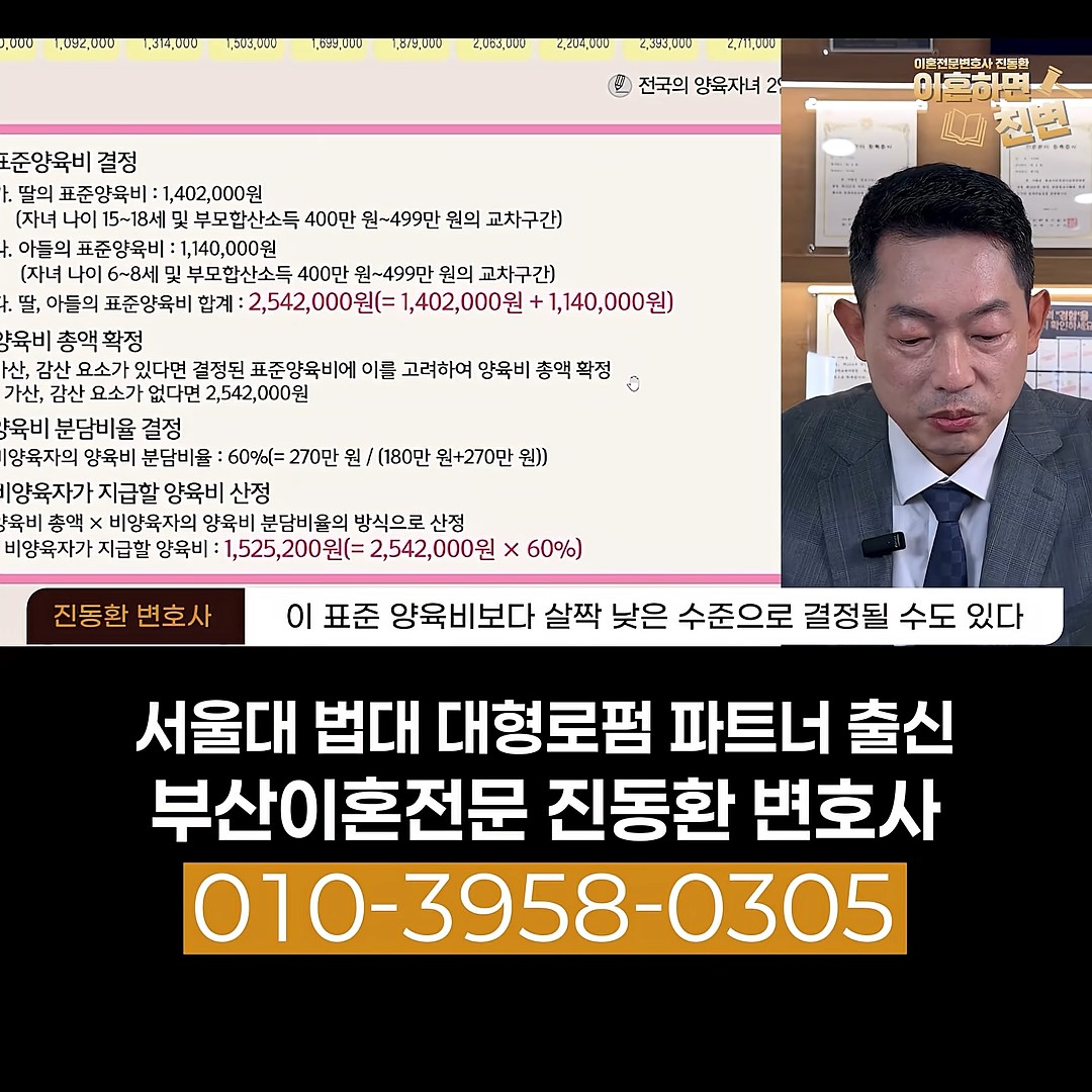 서울이 아닌 지역은 표준양육비보다 살짝 낮게 정해질 수 있다는 진동환 변호사 설명